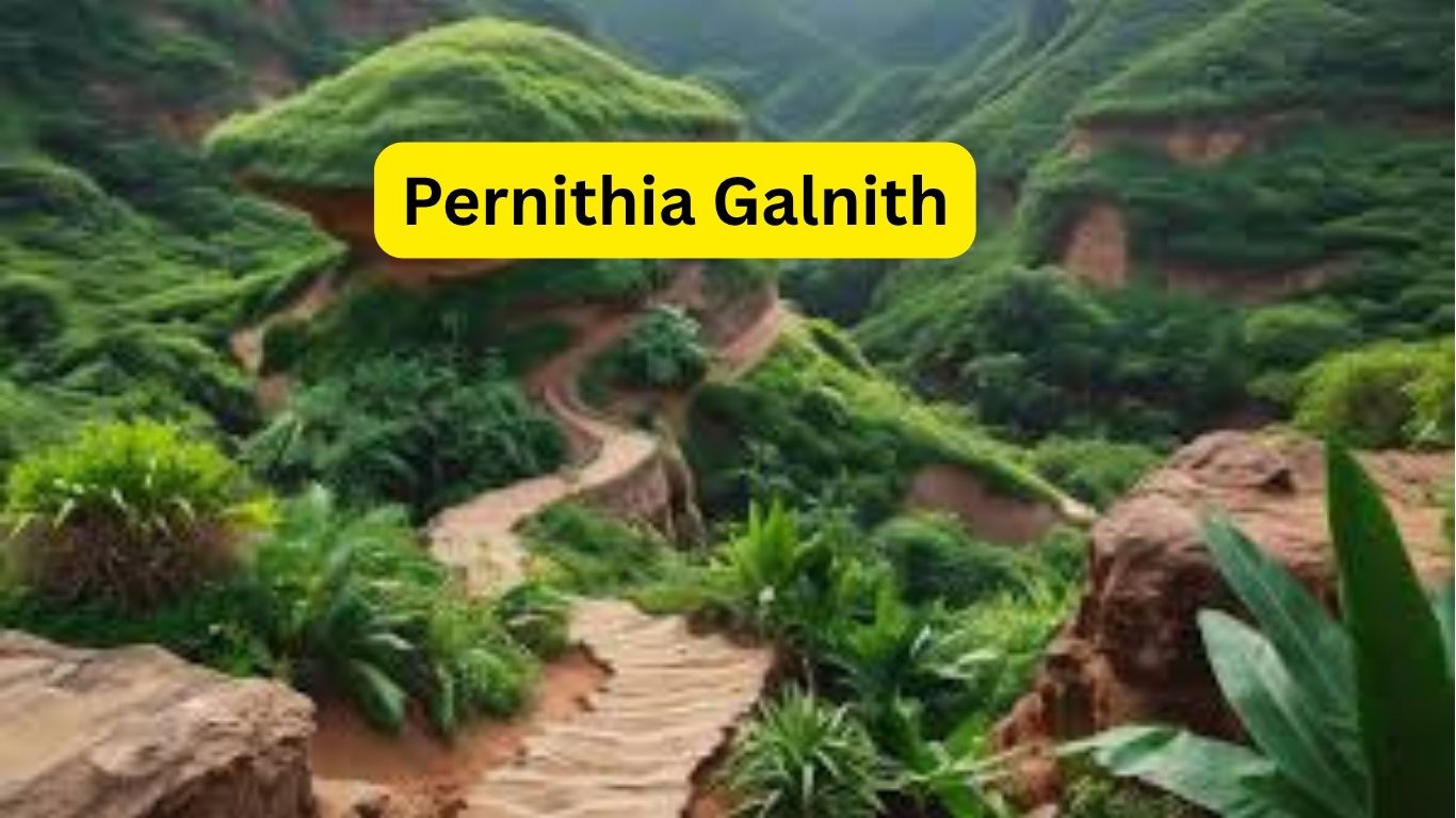 Pernithia Galnith